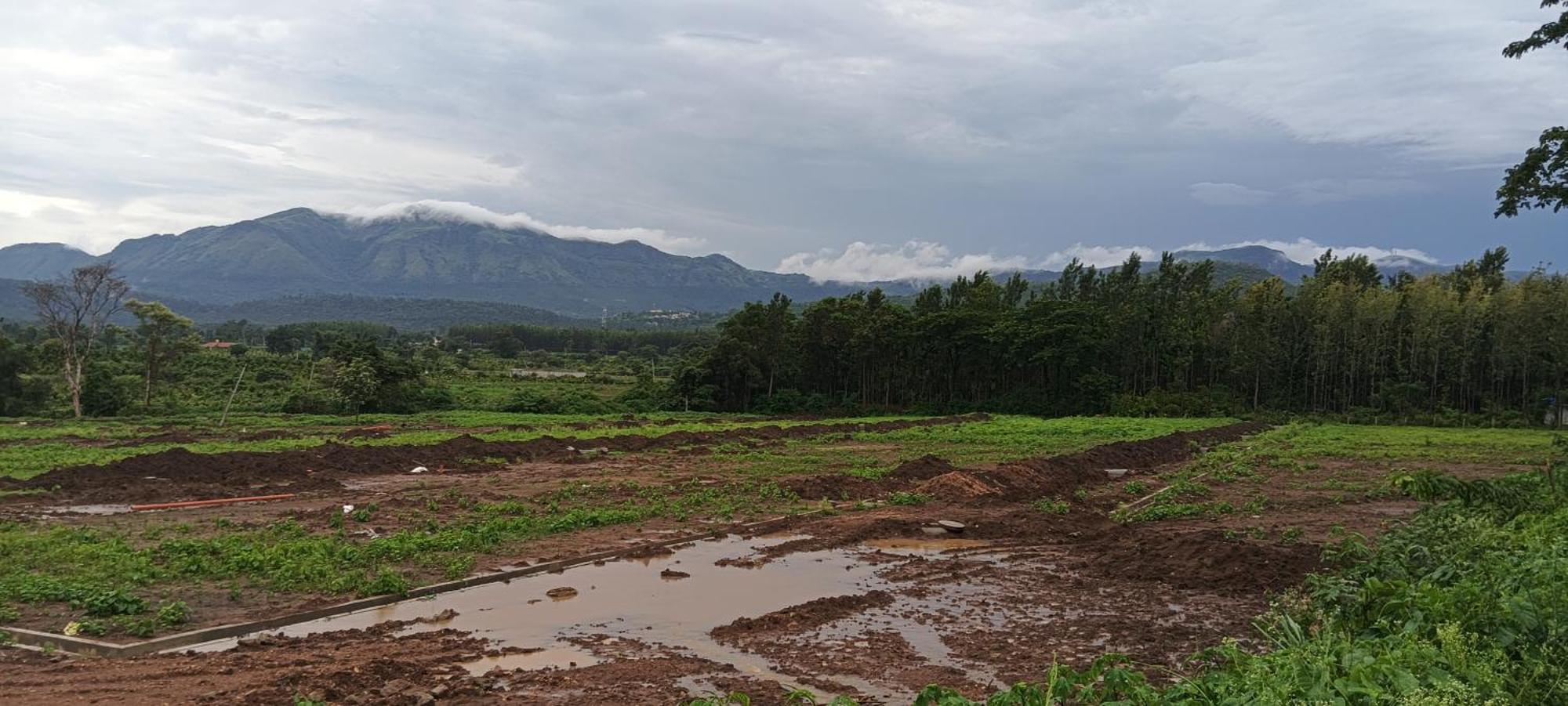 Malgudi Mane Homestay Chikmagalūr Zewnętrze zdjęcie