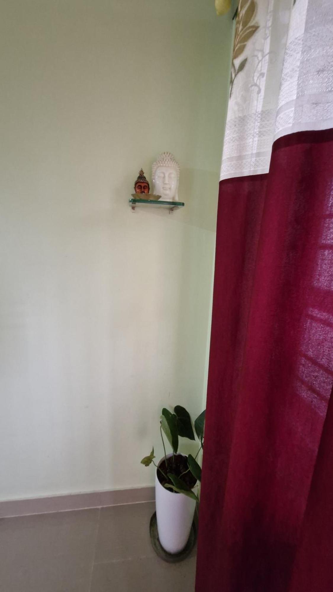 Malgudi Mane Homestay Chikmagalūr Zewnętrze zdjęcie